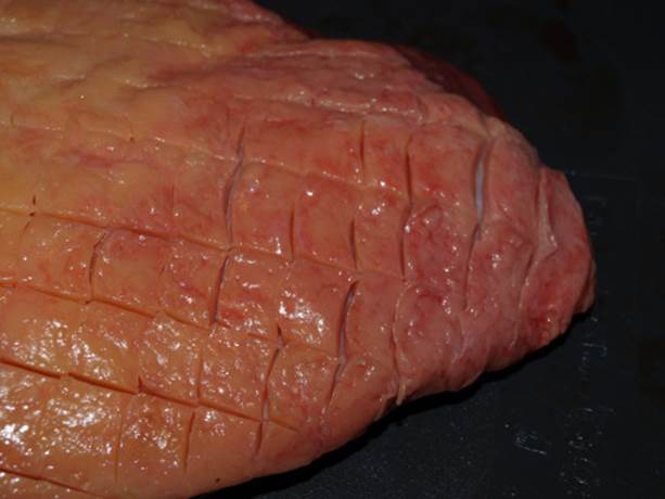 https://henrikjbrandt.files.wordpress.com/2010/12/culotte05.jpg?w=490